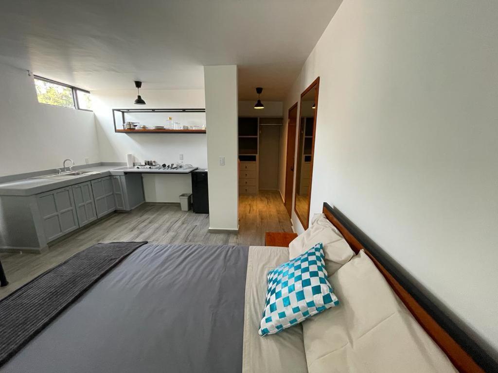 Nice & Cozy Suite In Cdmx, Near Roma,Zocalo 7 مدينة مكسيكو المظهر الخارجي الصورة